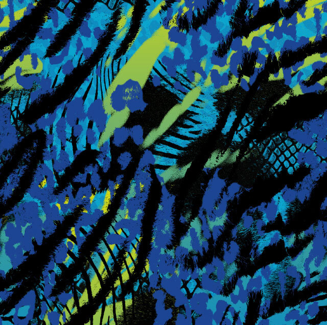 Speedo MS2 -My Swimsuite-